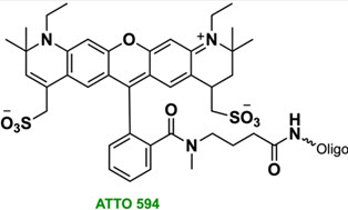 Bio-Synthesis Inc. Oligo Structure